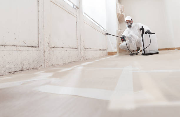 24/7 Emergency Mold Remediation experts in Bensenville, IL