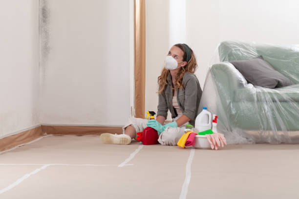 Reliable Mold Remediation contractor in Bensenville, IL by WQB Mold Removal